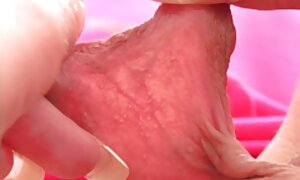 معشوق در فیلم سوپرسکسی الکسیس تگزاس 18. احمق شارپ شناخته شده است